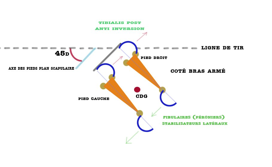 Position des pieds — Vue du dessus